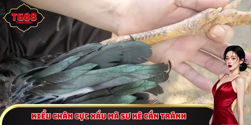 Kiểu chân cực xấu mà sư kê cần tránh